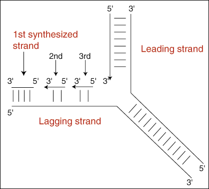 http://img.sparknotes.com/figures/A/a0d1b3a1aaed46e29034f996722dd1a1/leadlag.gif