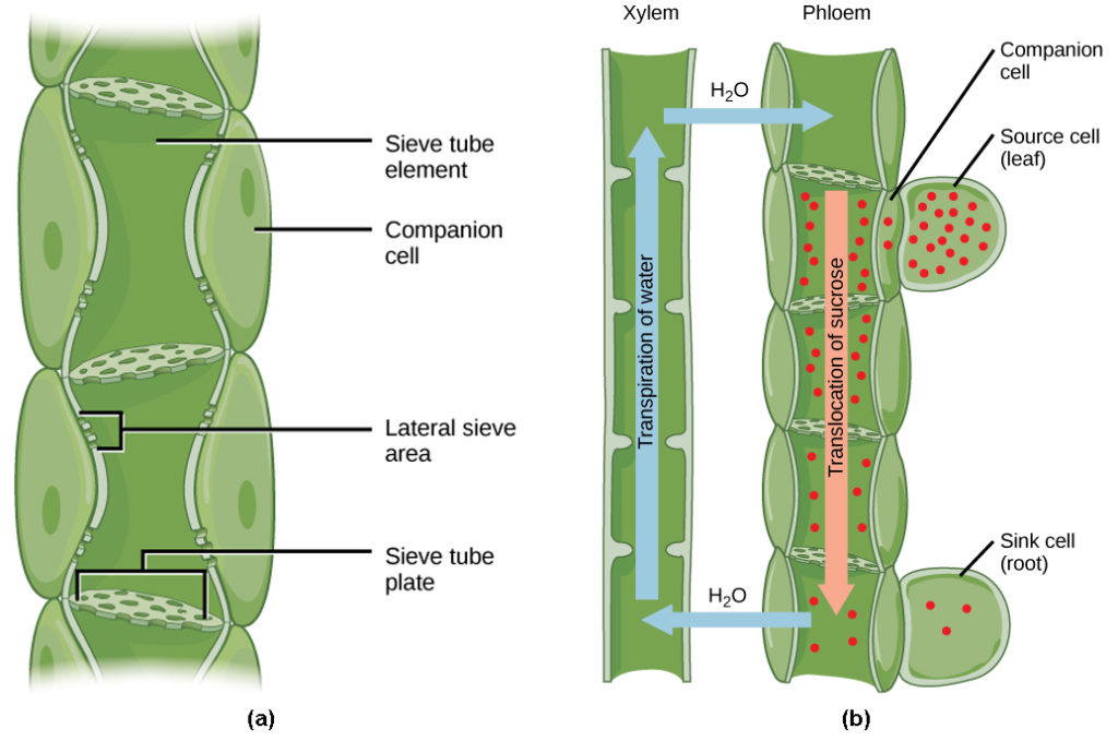 Figure_30_05_067-1024x679.jpg