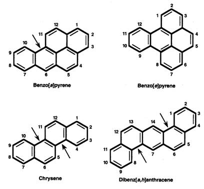 Image result for carcinogenicity and toxicity of hydrocarbons