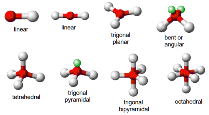 Photo created from images by Ben Mills on Wikipedia