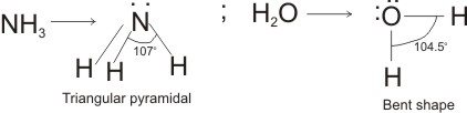 shape of molecules