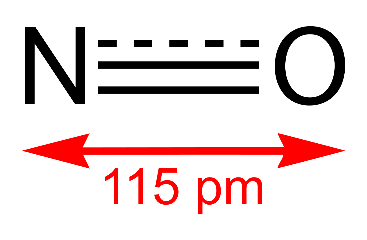 Image result for nitric oxide structure angle